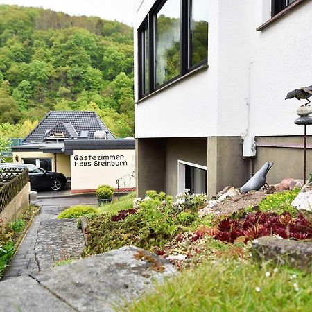 Hotel Gaestehaus Steinborn Heimbach Esterno foto