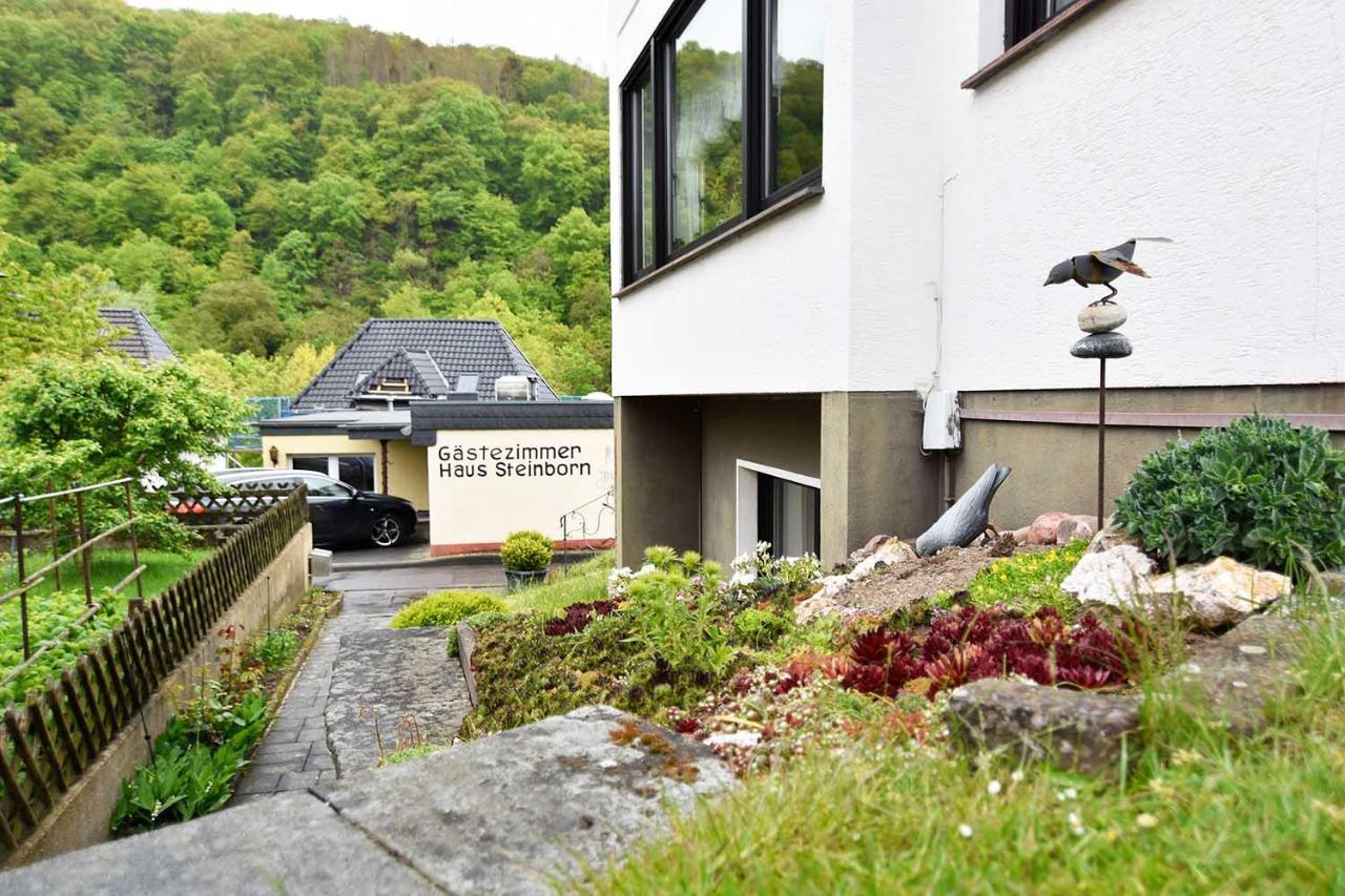 Hotel Gaestehaus Steinborn Heimbach Esterno foto